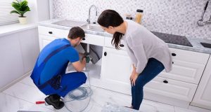professional plumbers