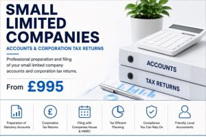 Small limited companies